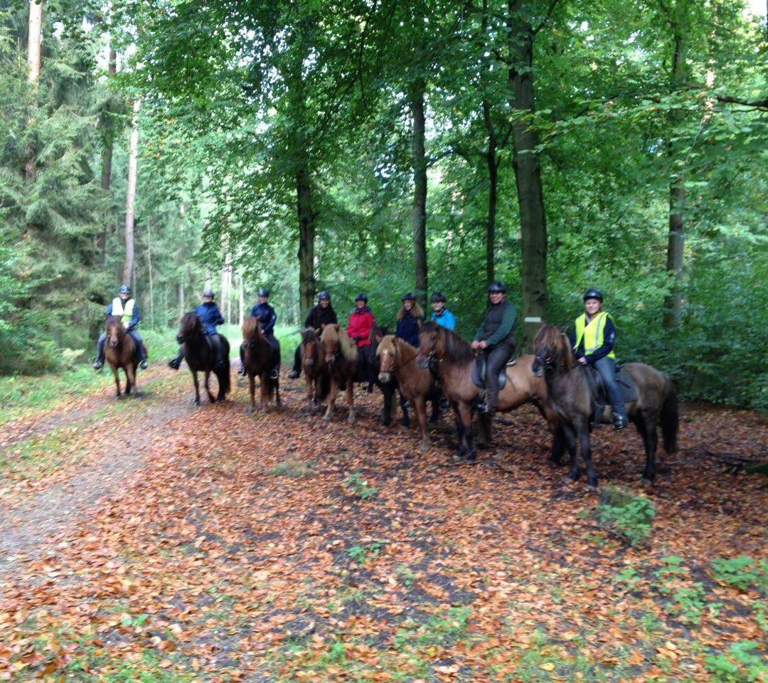 Hellbachtalritt 2017