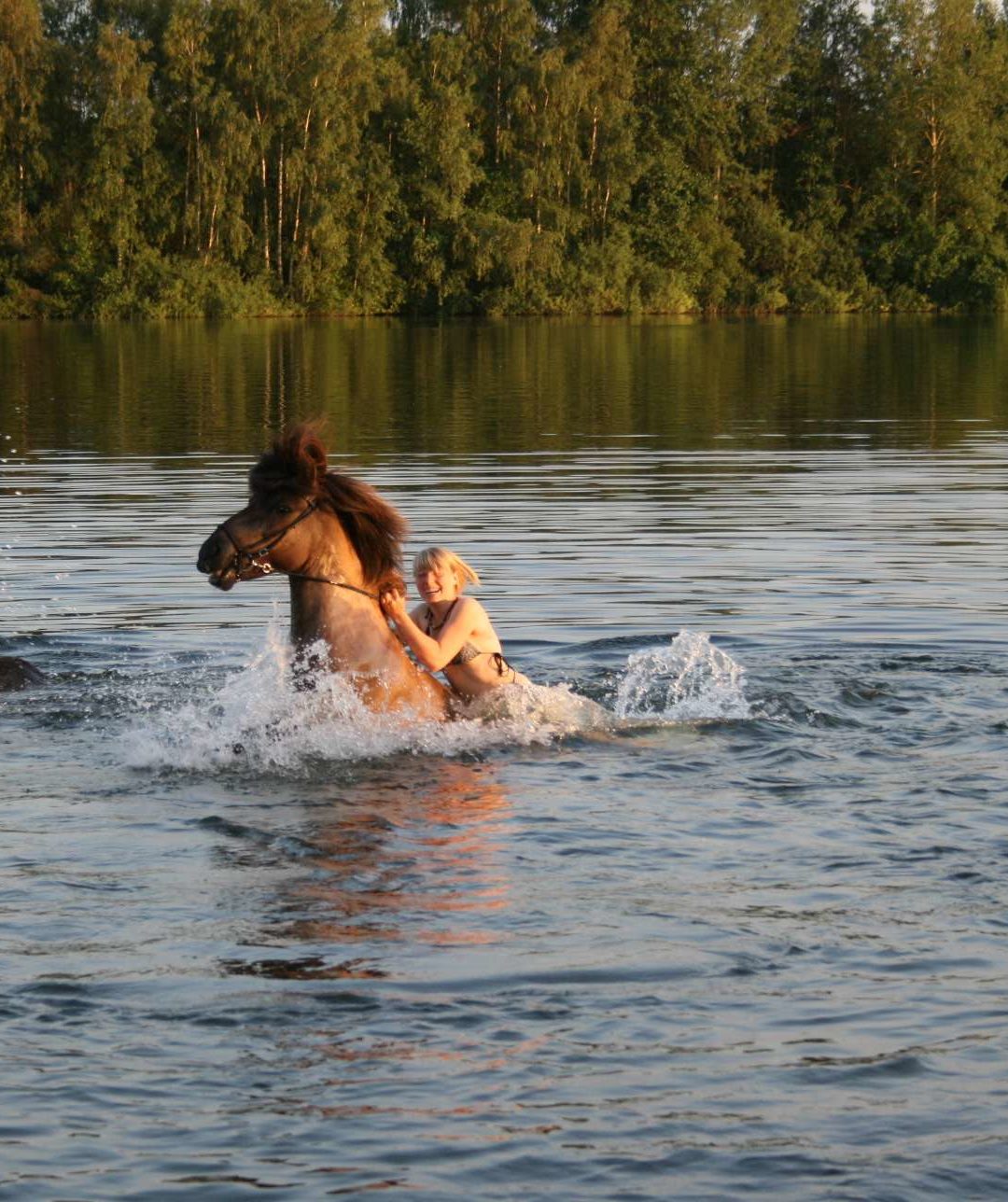 FREI Plätze – Schwimmritt
