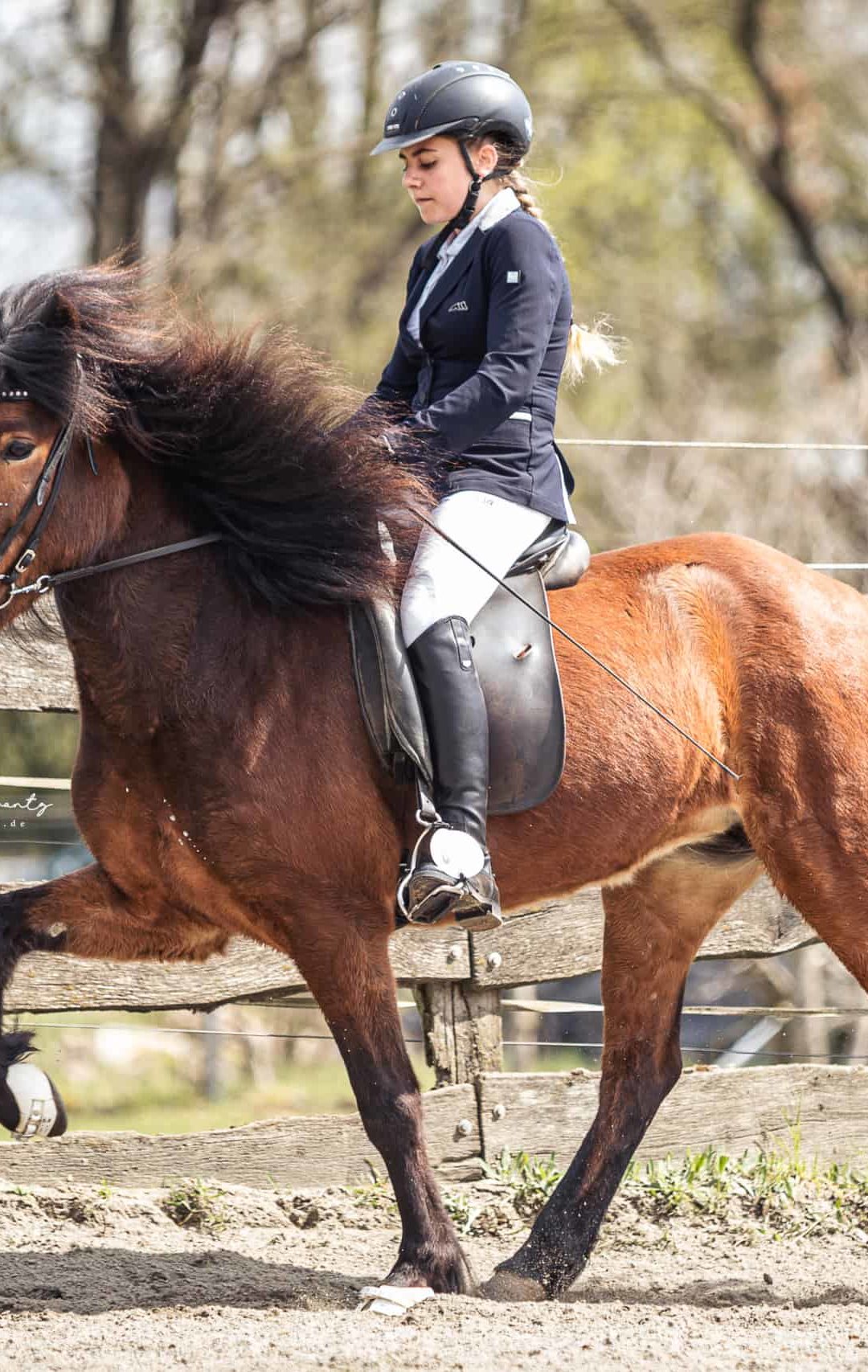 Spannendes Jugendsport-Pferd sucht neuen Wirkungskreis