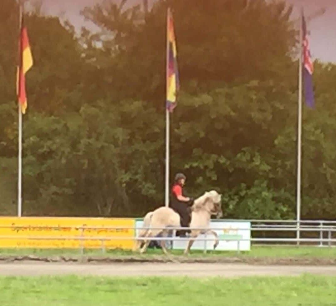 Glorias FIZO Zweiter Durchgang