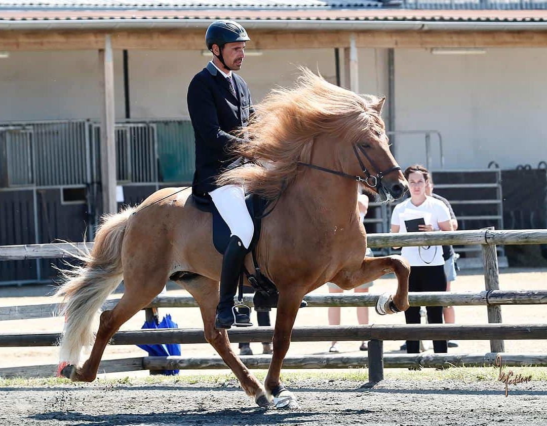 Erfolgreiche Starts bei den Federather Sporttagen