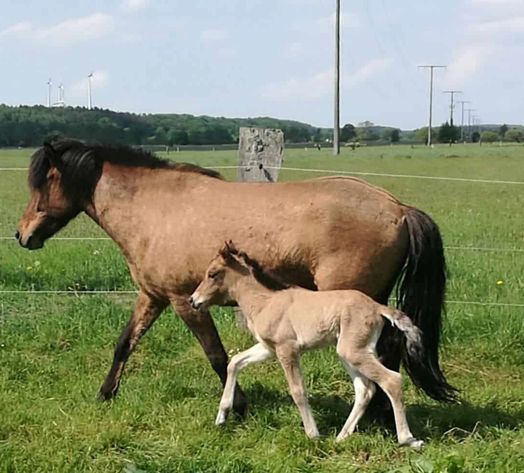 Welcome little Girl