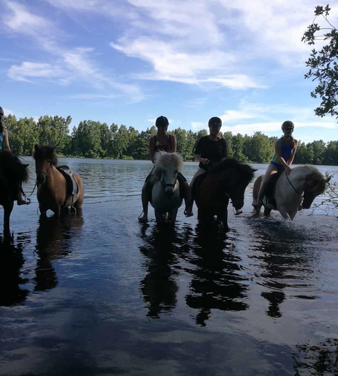 Schwimmritt am 05.08.18