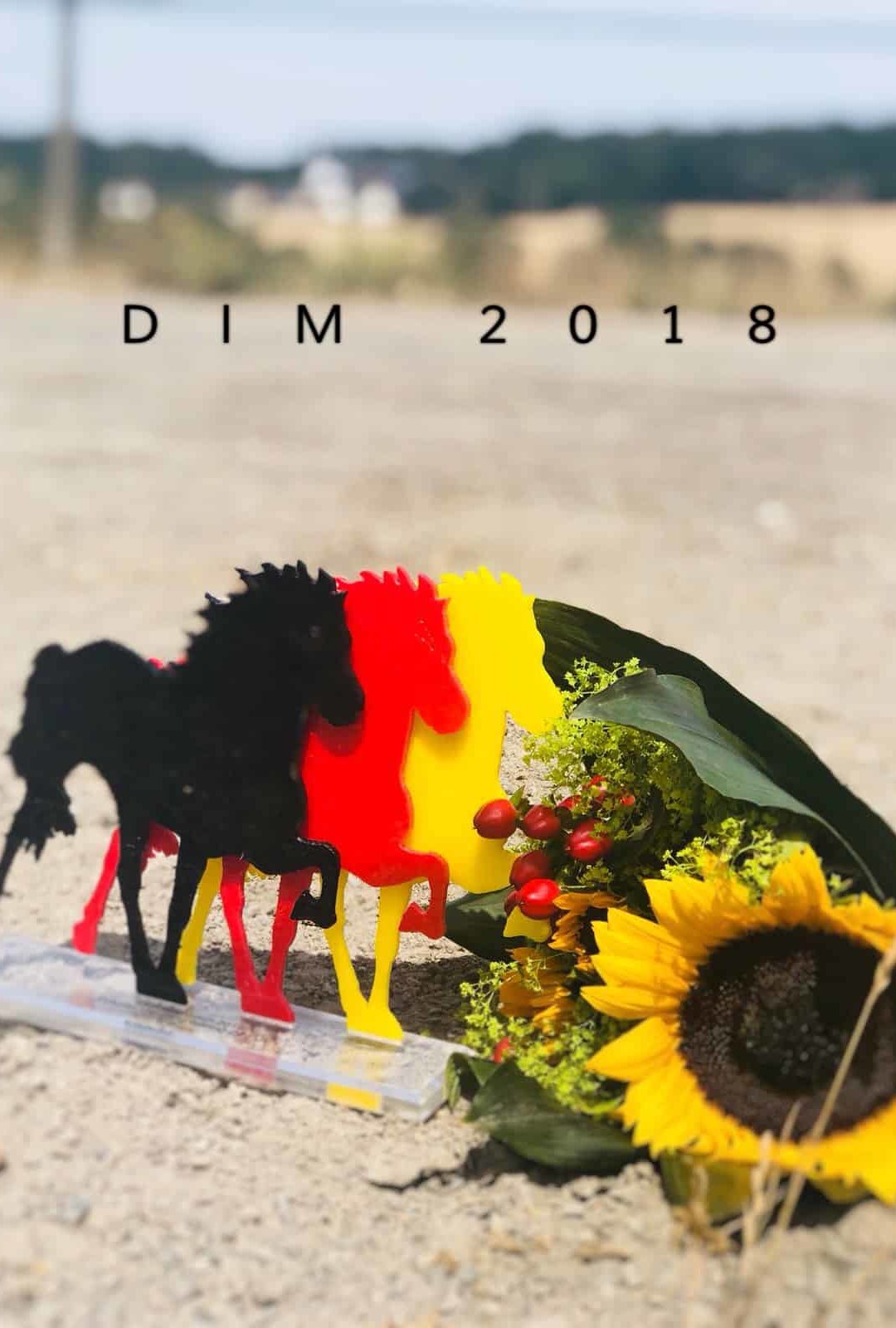 DIM 2018