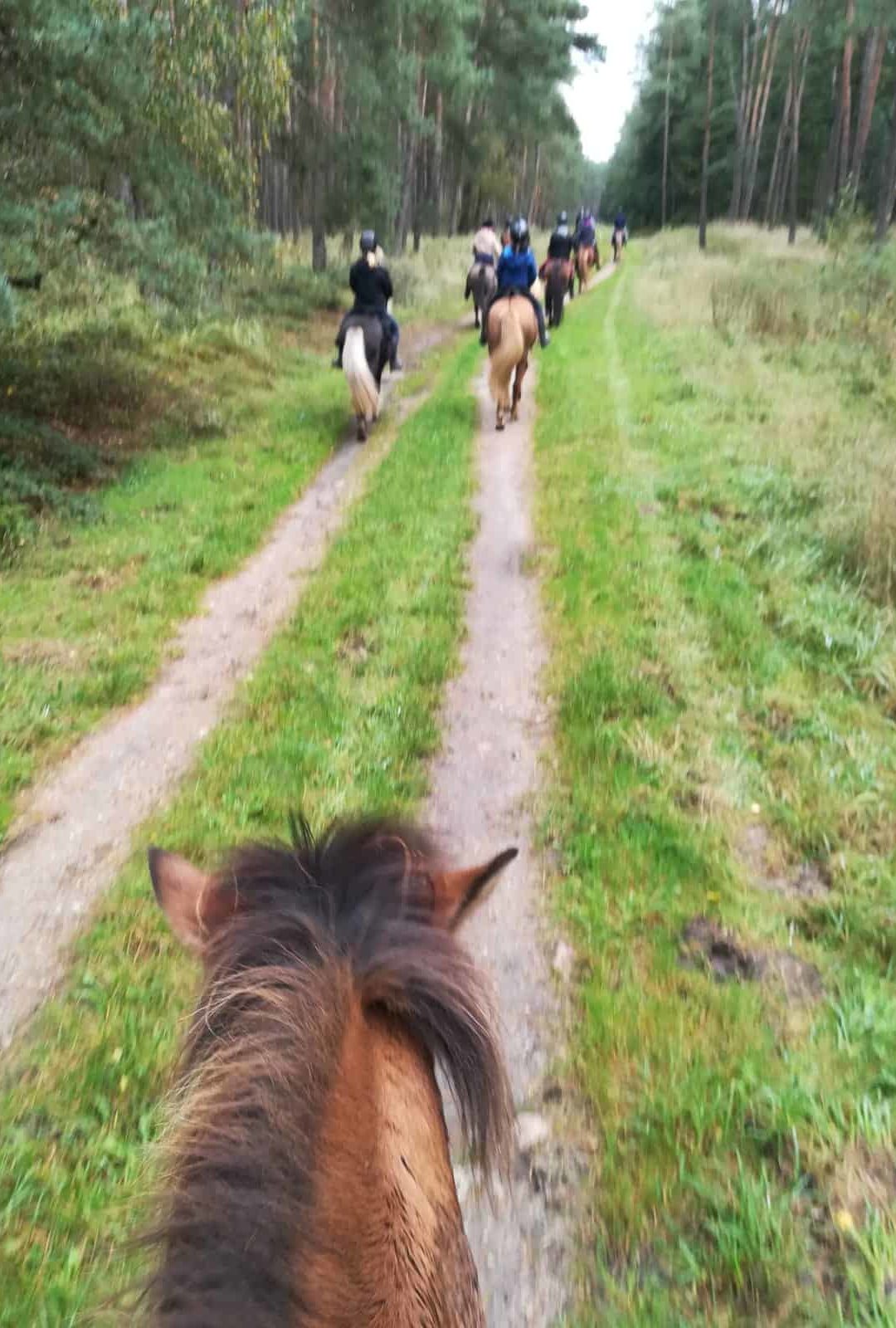 Hellbachtalritt 2019