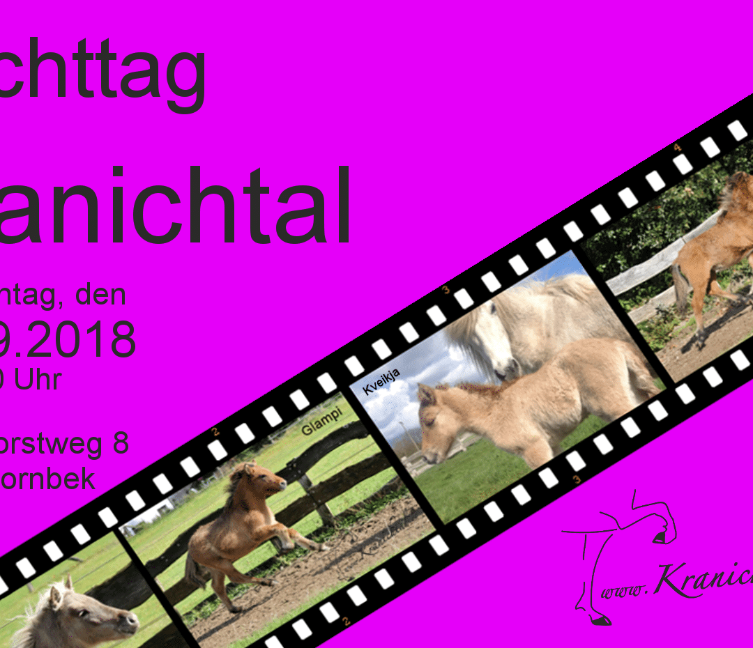 Fohlenbeurteilung auf Kranichtal