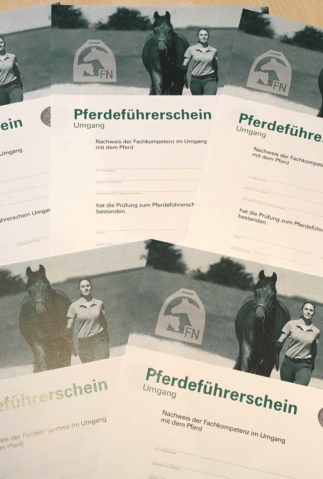 Kurs Pferdeführerschein 20.-21.6.