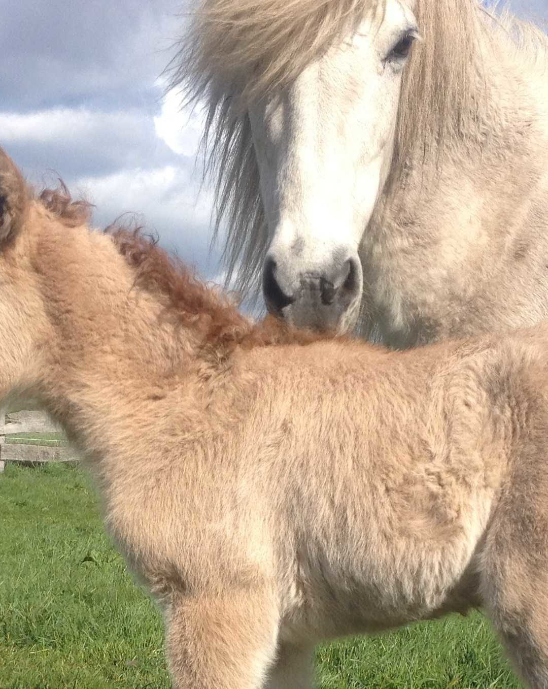 Die ersten Babys sind da