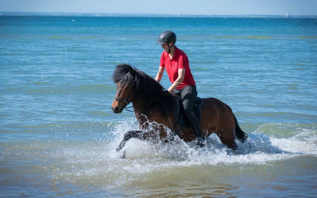 Schwimmritt  an der  Ostsee: 24.8.2024 – noch Plätze frei