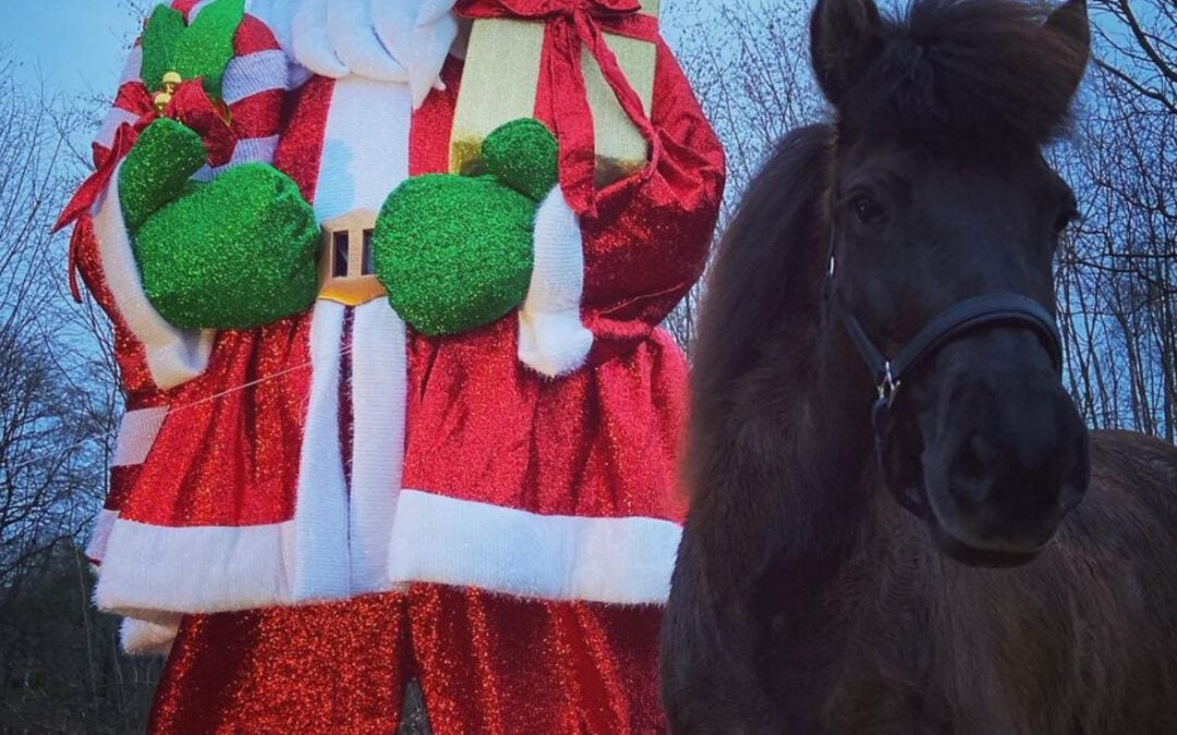 Weihnachtsritt auf Kranichtal 2024