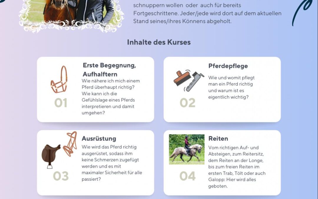 Erwachsenen Reitkurs mit Malin Behrens – noch Plätze frei