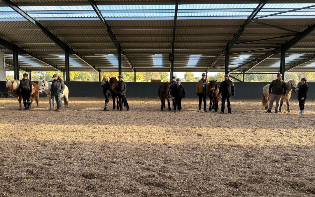 Erwachsenen Reitkurs mit Malin Behrens – Nachbericht