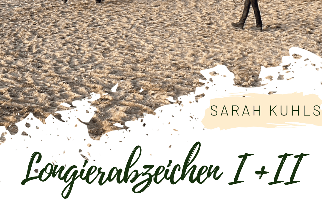 Longierabzeichen I+II 2024- noch Plätze frei