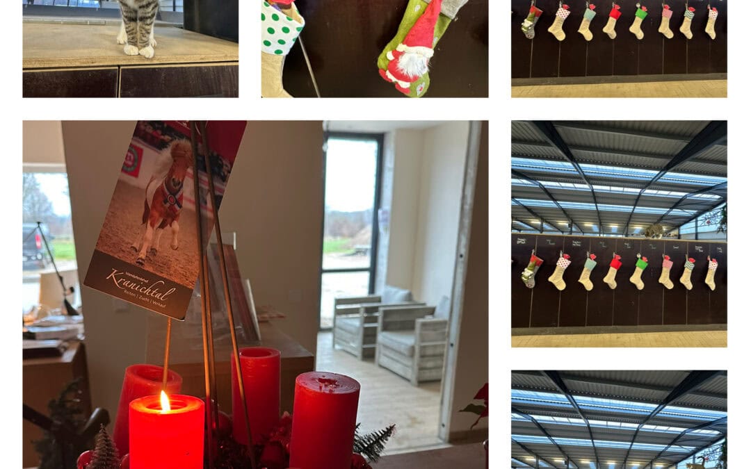 der Nikolaus war da