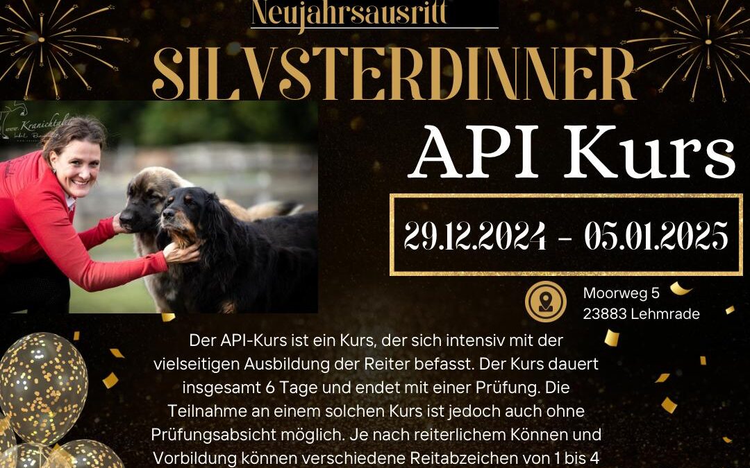 Silvester API-Kurs