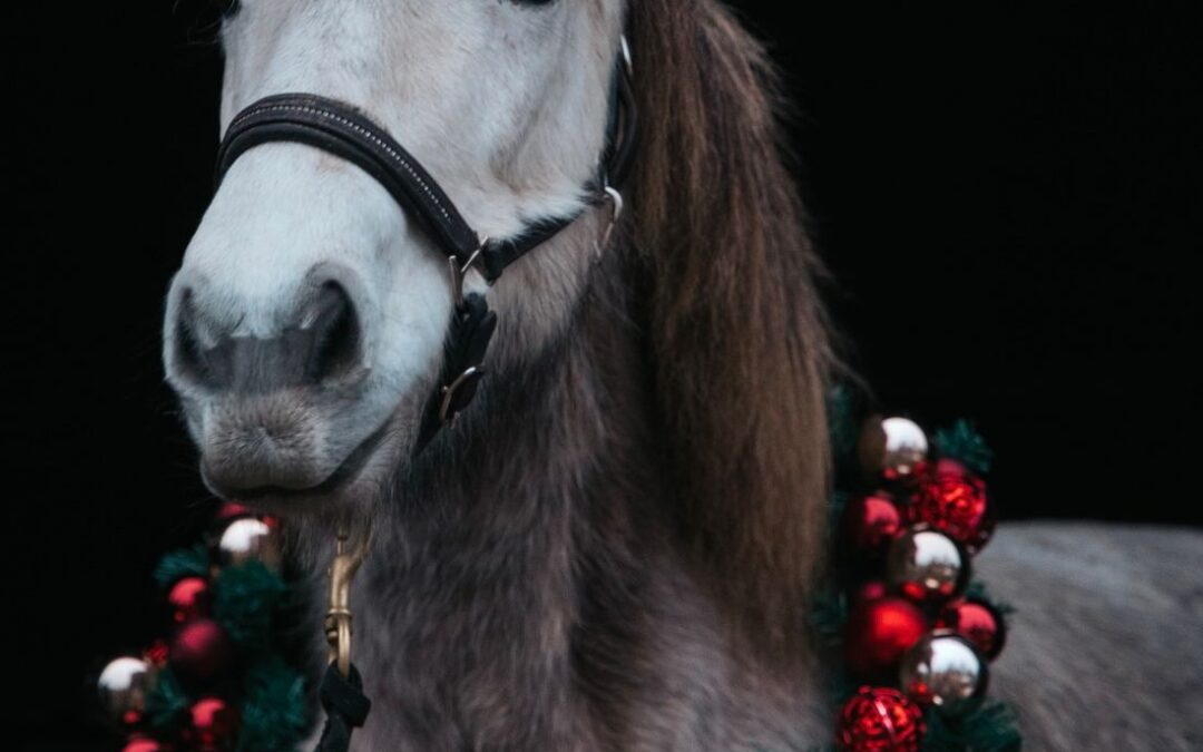 Gleðileg jól – fohe Weihnachten und einen guten start ins Neue Jahr