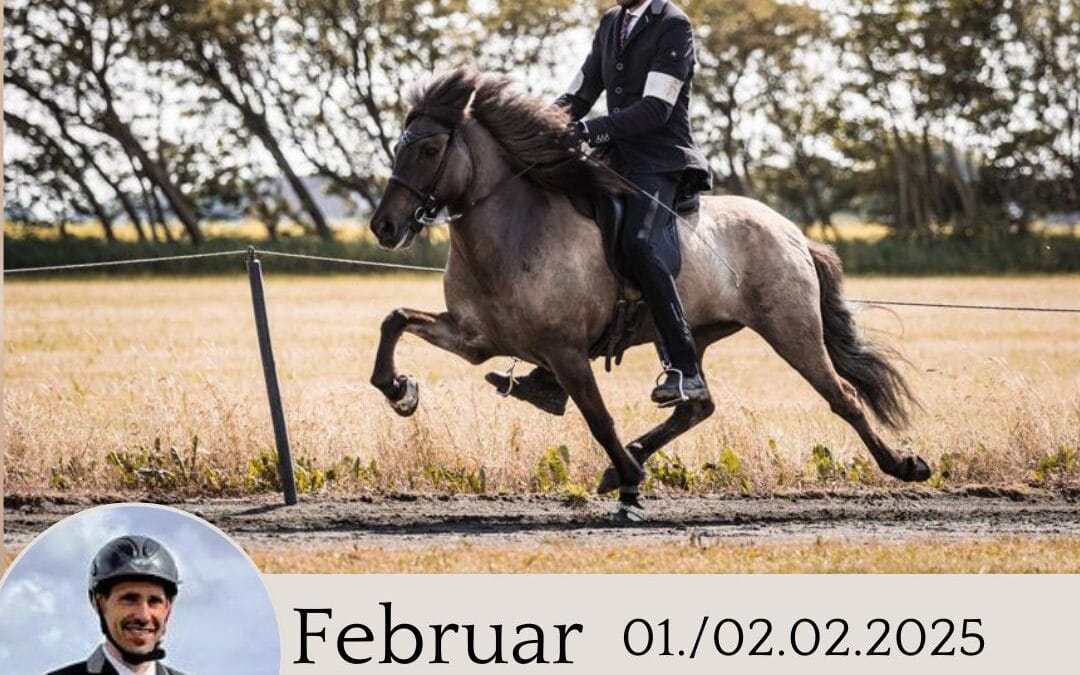 Tölt Kurs mit Gerd Flender