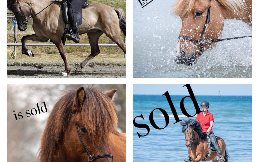 is sold