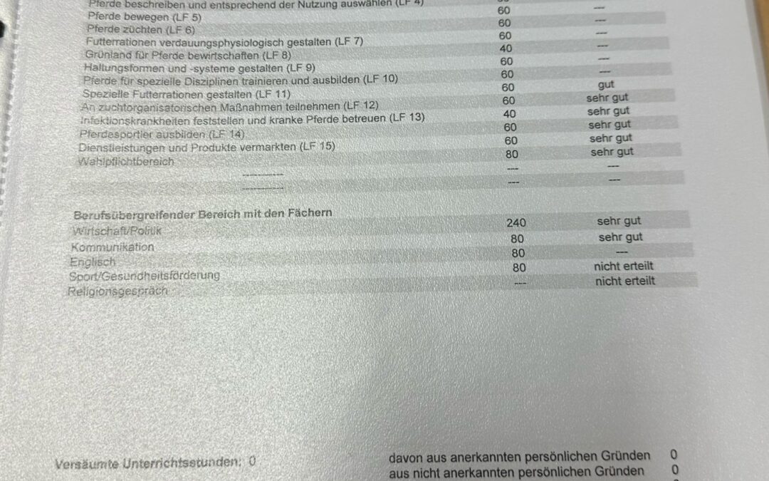 Tolle Leistung