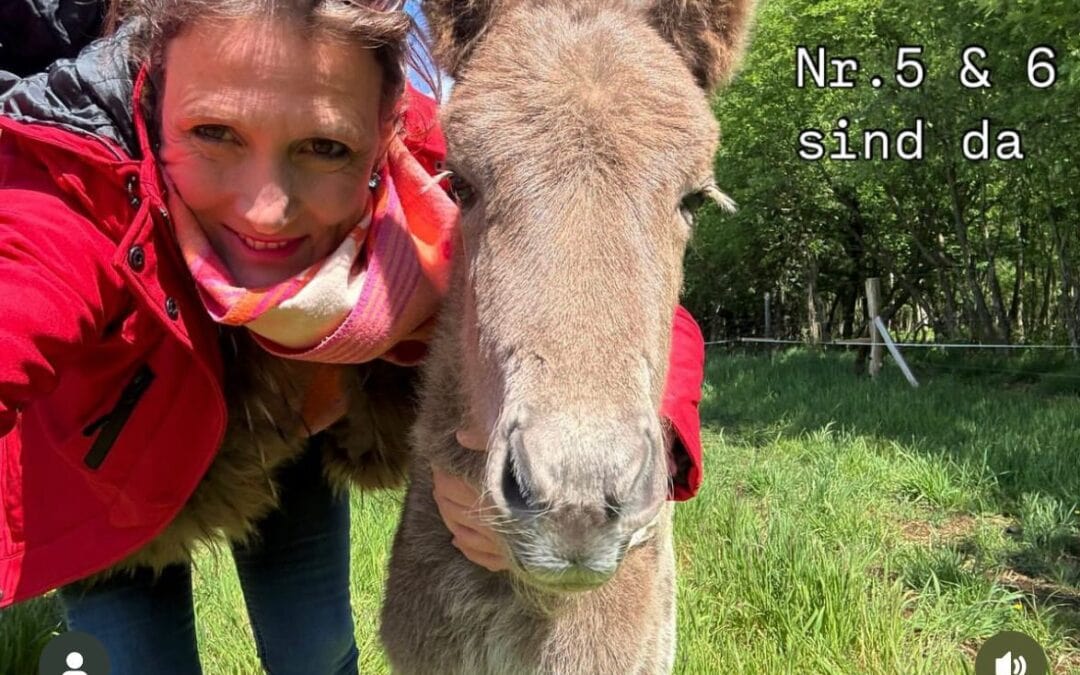 Nr. 5 und 6 sind da – Herzlich Willkommen