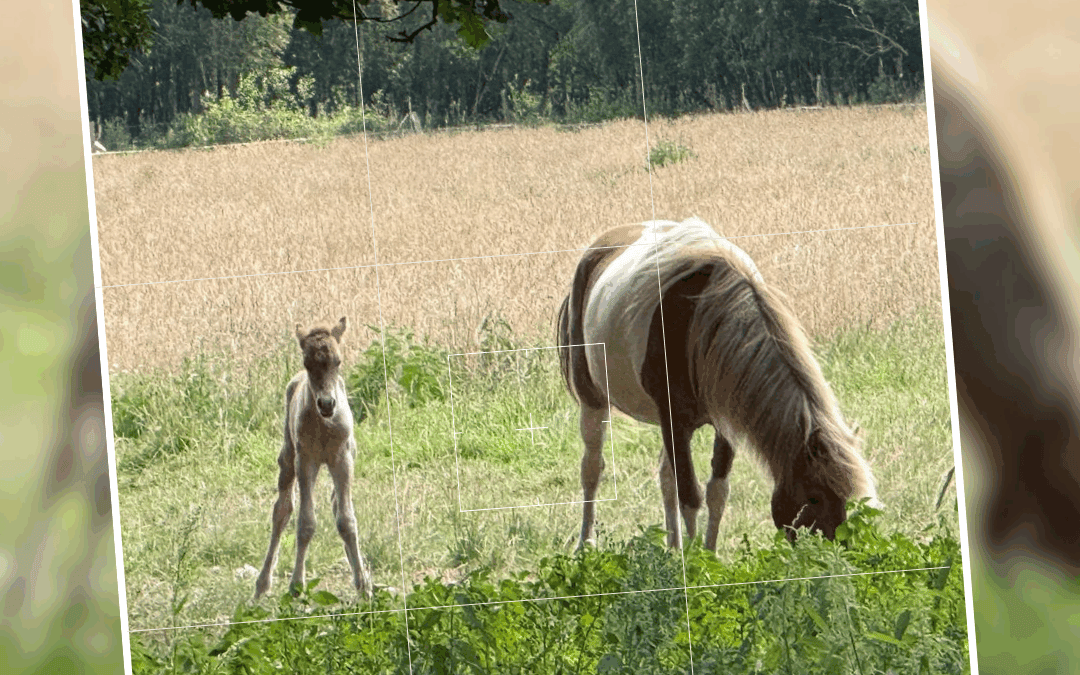 Herzlich Willkommen little Girl