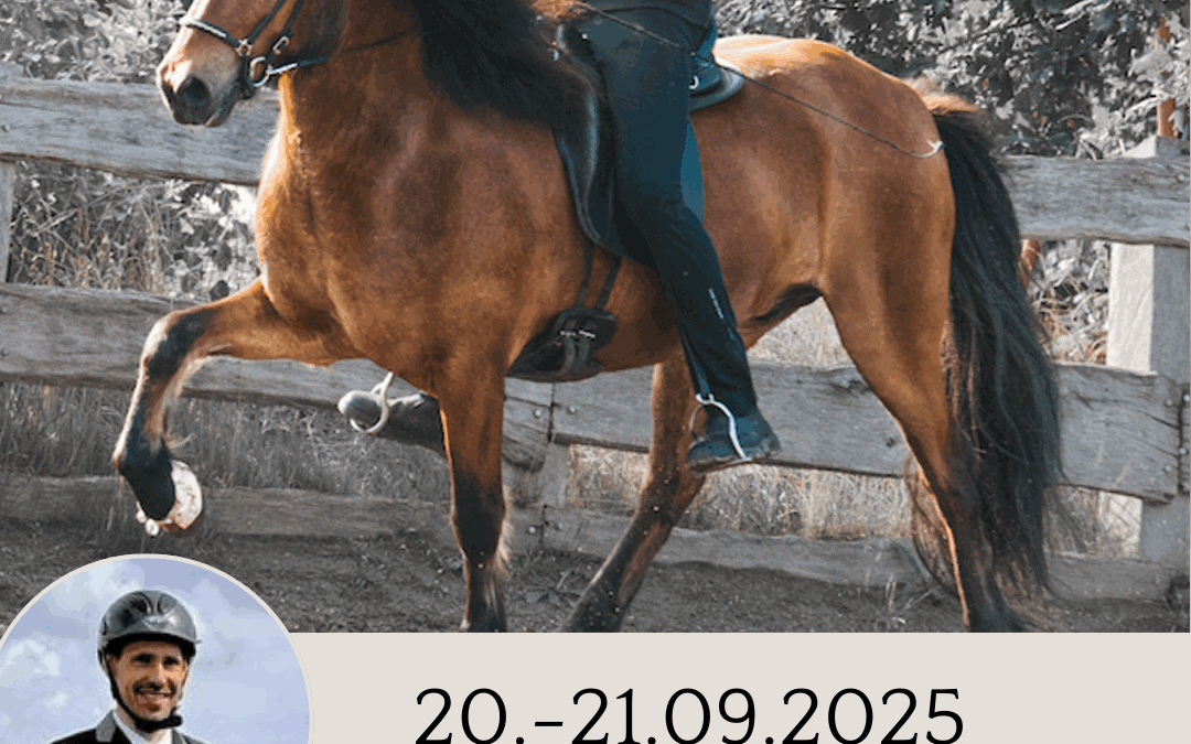 im September geht es weiter
