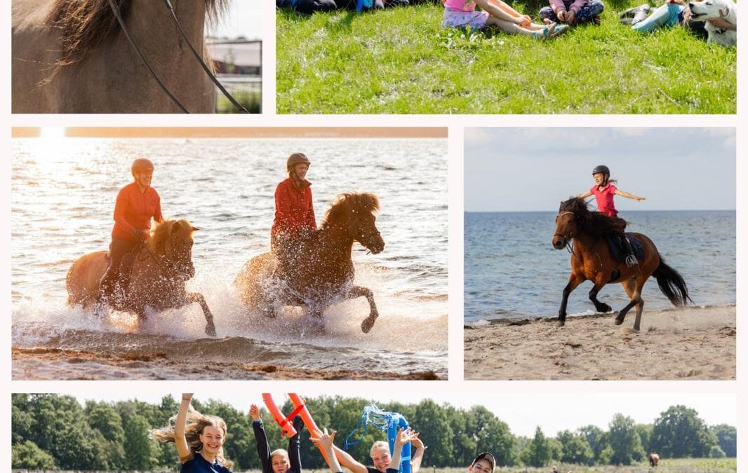 Reiterferien im Herbst 2025 und 2026