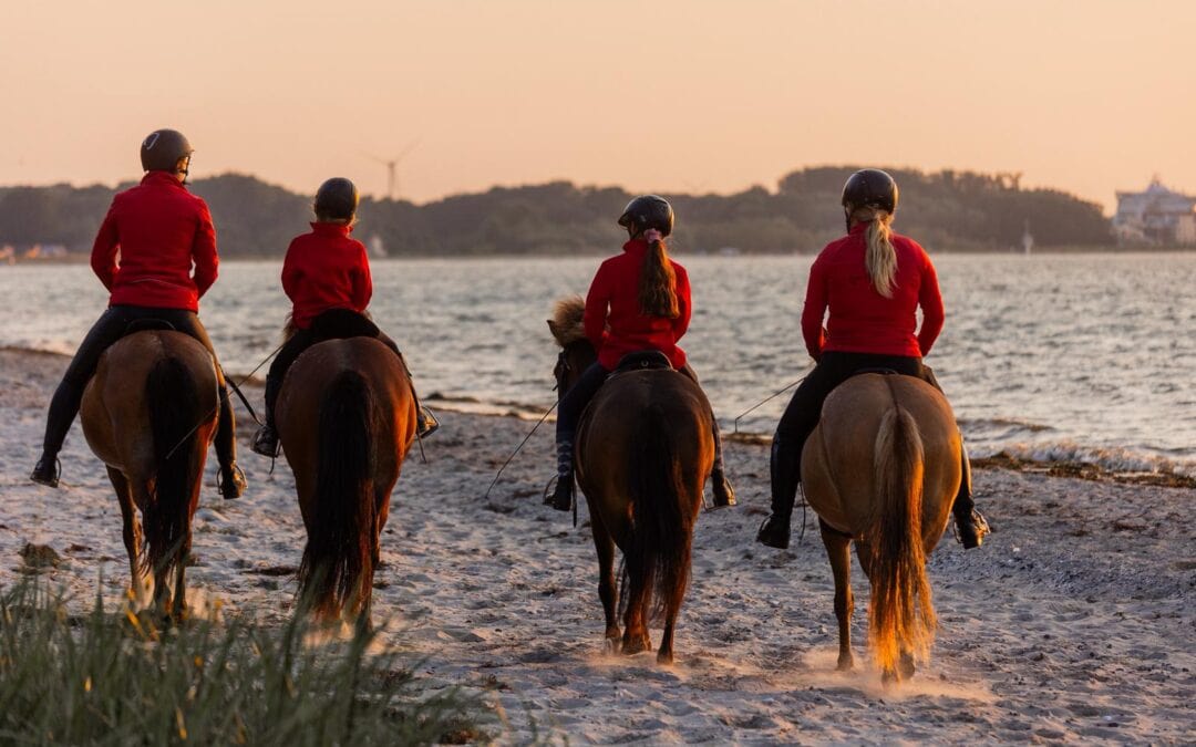 Sonne, Strand und unendlich lange Ritte