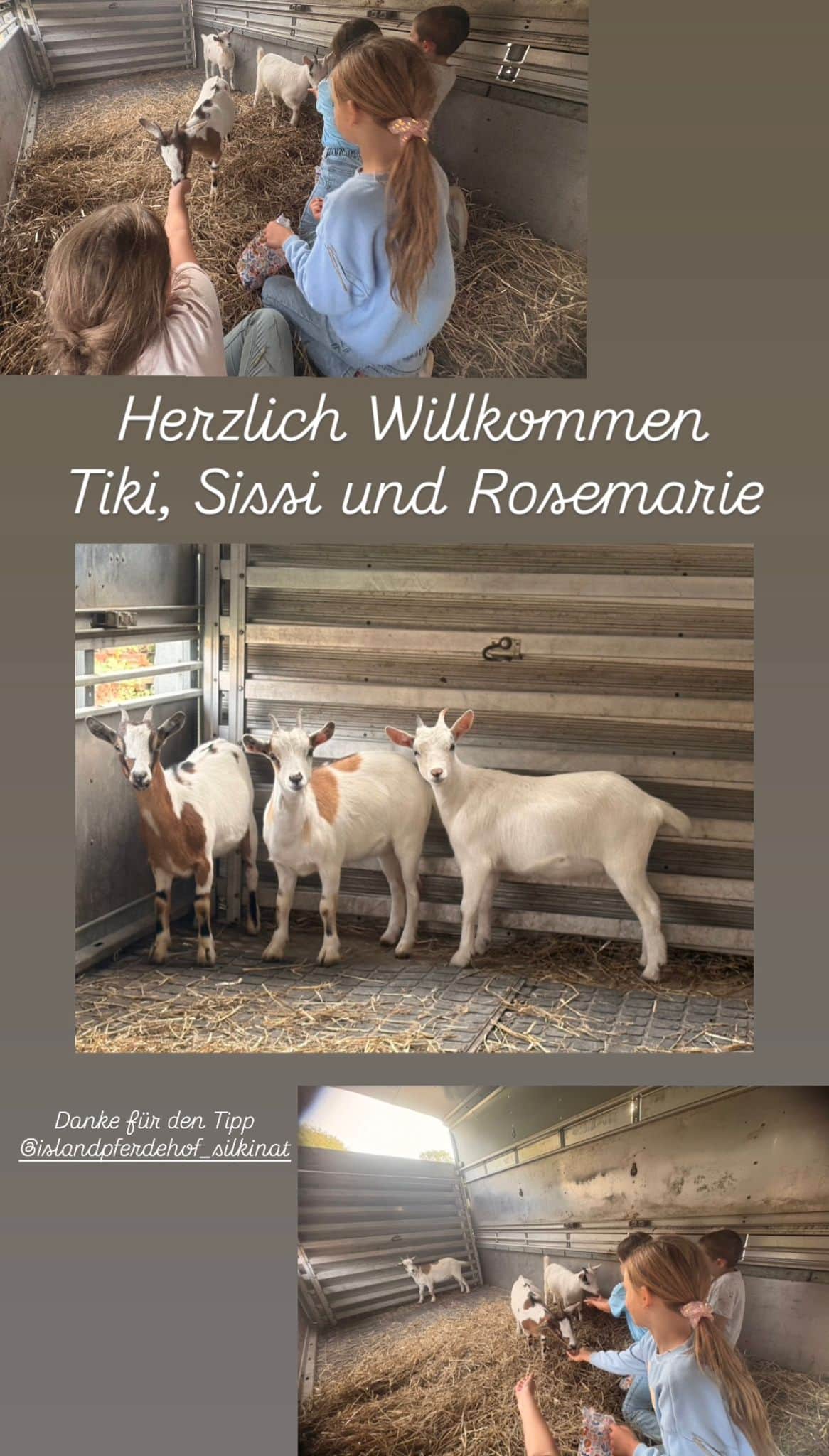 Ankunft 28.08.2025