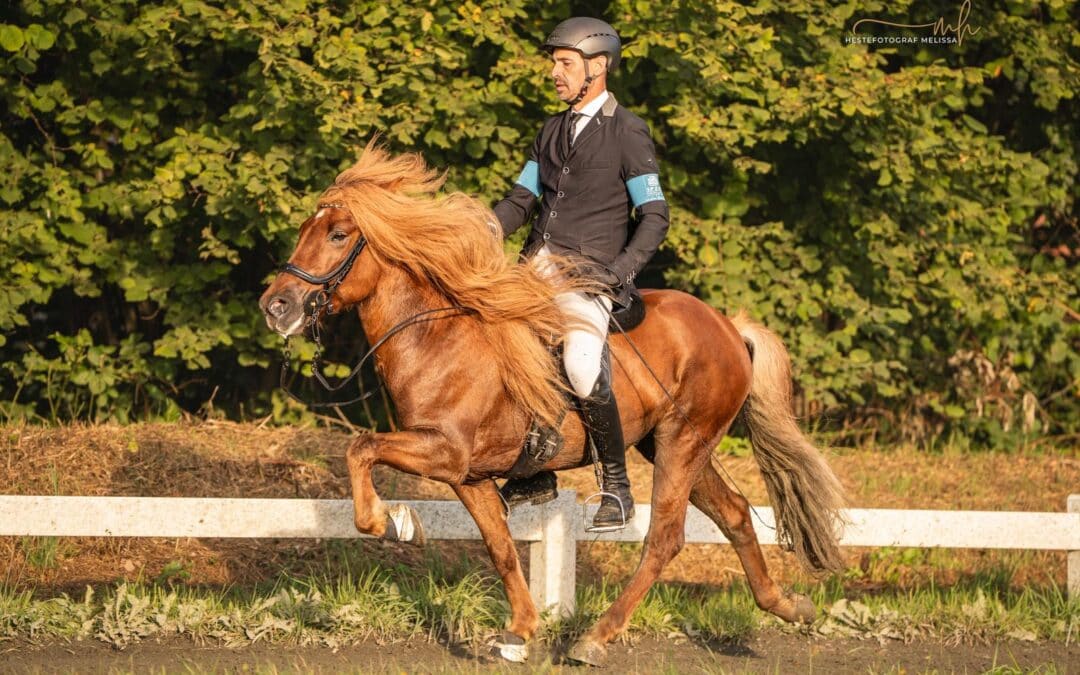 Erfolg auf der IPZV-Nord Sportmeisterschaft