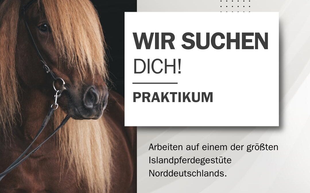 Wir suchen DICH!