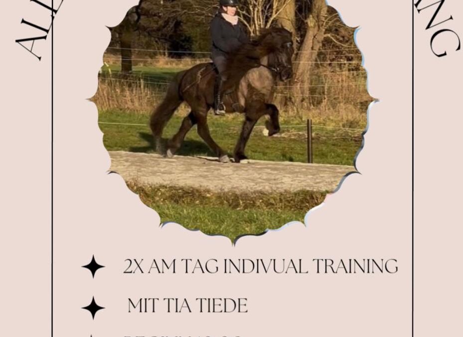 Allgemeiner Reitlehrgang mit Tia am 15. & 16.11.