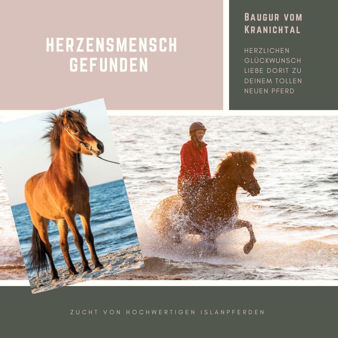 baugur verkauft