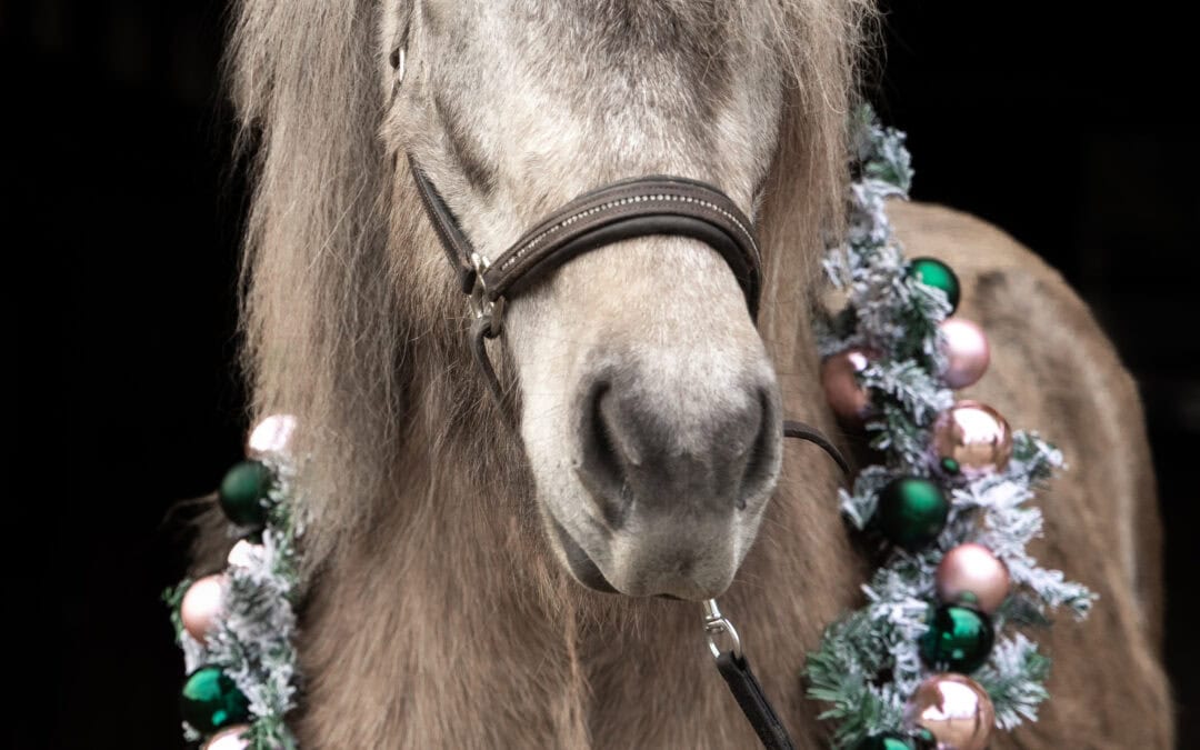 Wir wünschen euch einen schönen 3. Advent!