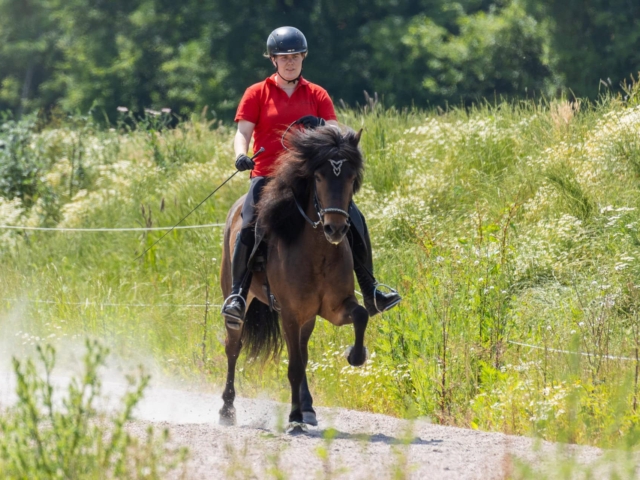 Beta vom Kranichtal