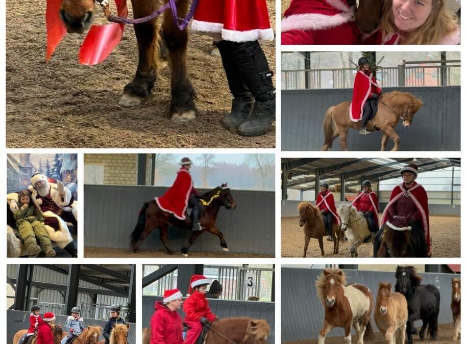 Weihnachtsfeier auf dem Islandpferdehof Kranichtal – ein Tag voller Pferdeglück