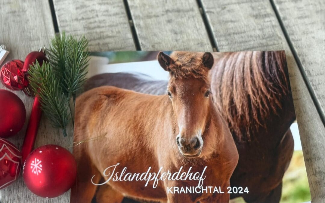 Ho Ho Ho – die Weihnachtspost ist unterwegs!