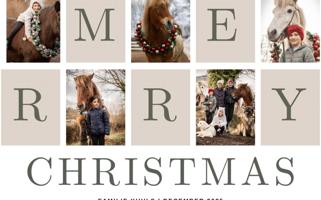 Wir wünschen euch schöne Weihnachten!