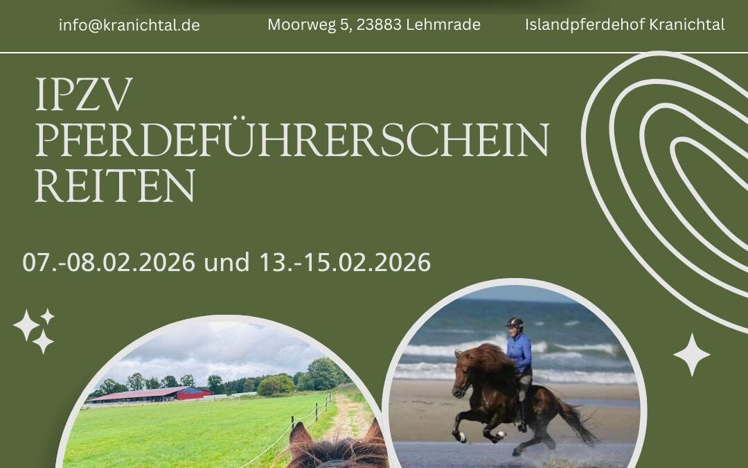 IPZV Pferdeführerschein Reiten