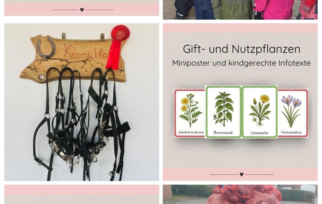 Unsere Reitschule ist zurück aus der Winterpause