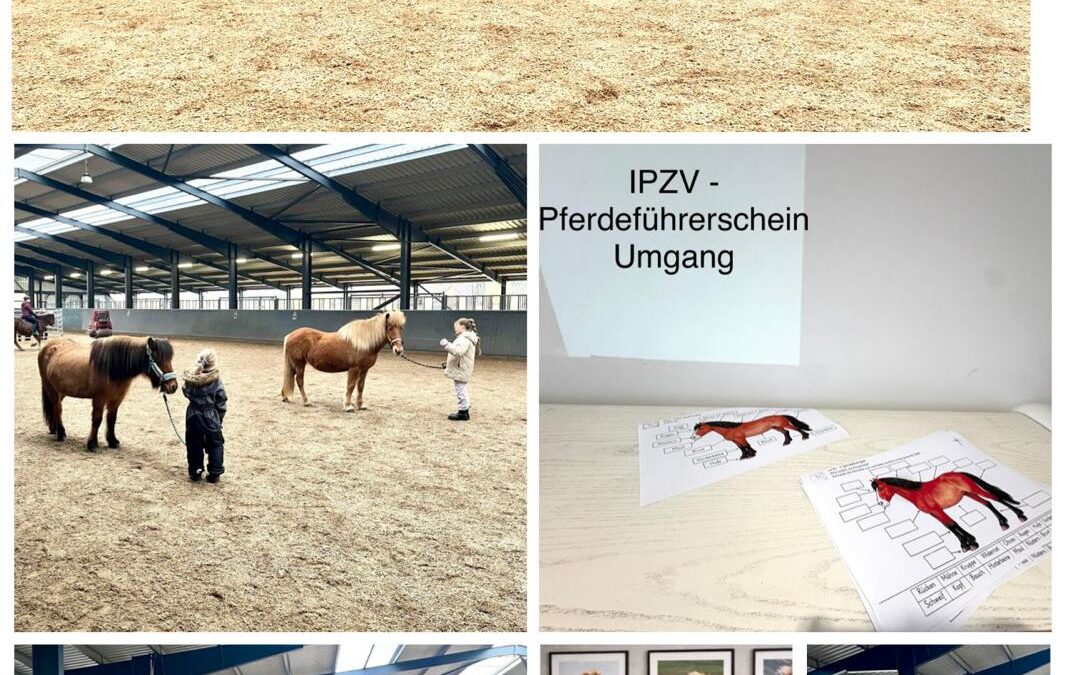Auftakt zum IPZV Pferdeführerschein Umgang