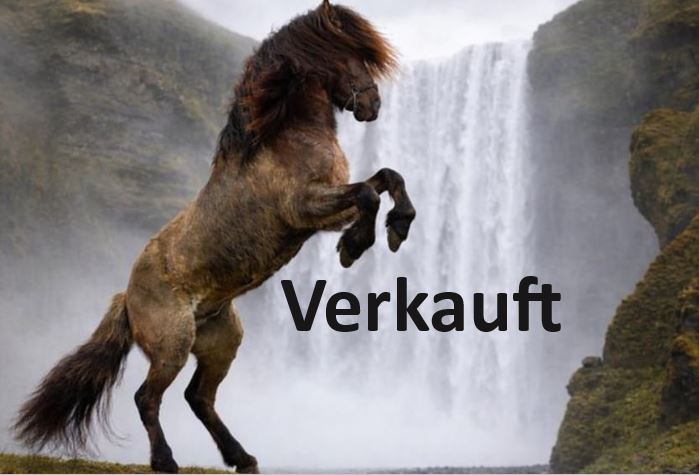gautur