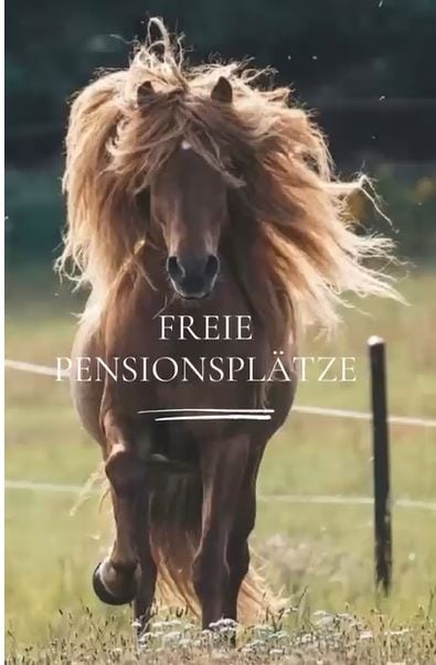 Freie Pensionsplätze