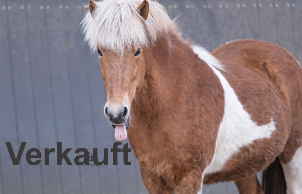 Skálda vom Kranichtal