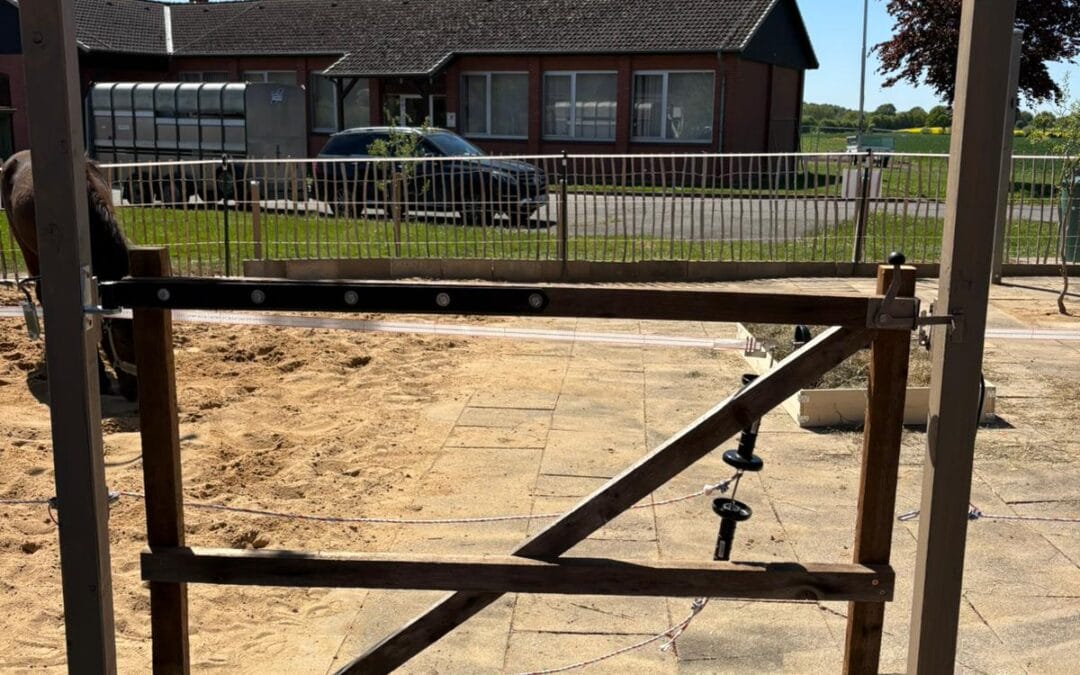 Fünf Kranichtal-Pferde ziehen in ihr neues Zuhause auf dem Heidehof in Rethwischdorf