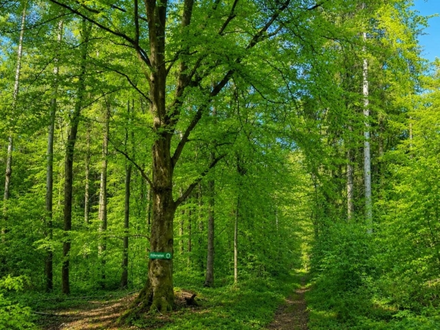 WhatsApp Image 2026-05-10 at 07.02.47(3)