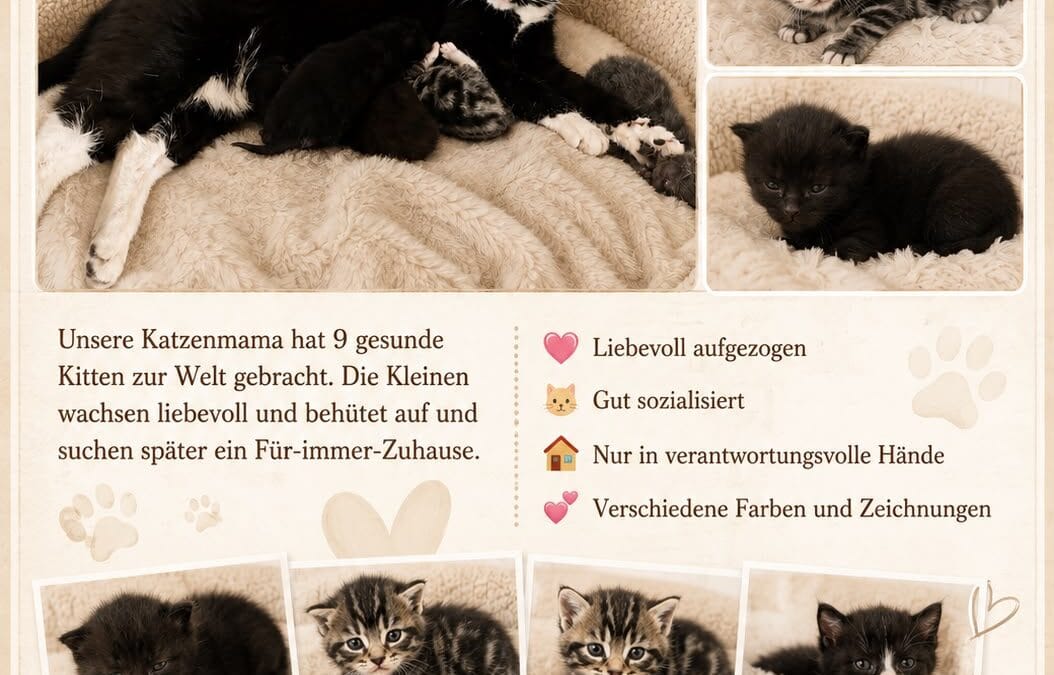 Unsere Fellnasen ziehen bald aus