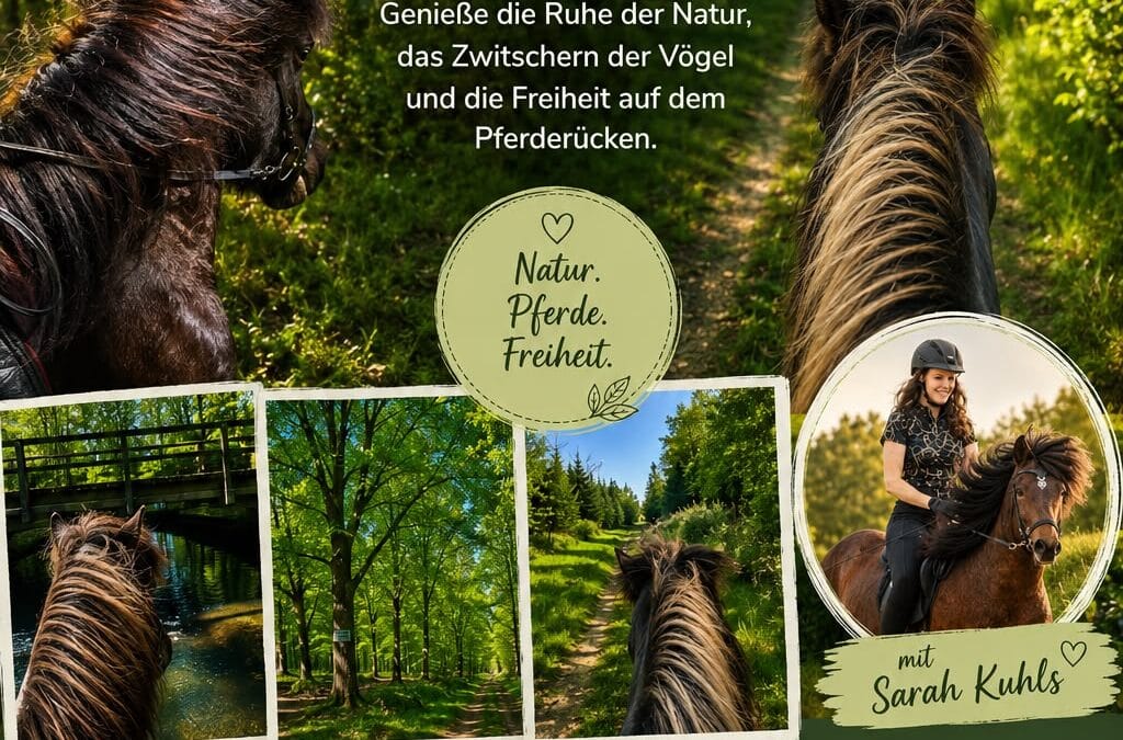 Geführte Ausritte im traumhaften Hellbachtal – Natur erleben vom Pferderücken aus 