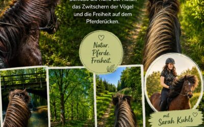 Geführte Ausritte im traumhaften Hellbachtal – Natur erleben vom Pferderücken aus