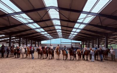 Sommerfest auf dem Islandpferdehof Kranichtal – ein schöner Start in die Sommerpause